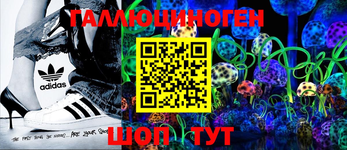 Галлюциногенные грибы мицелий Коммунар