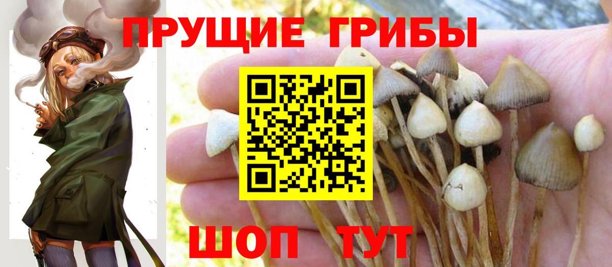Коммунар  Галлюциногенные грибы прущие грибы  где можно купить наркотик  Вход с VPN 